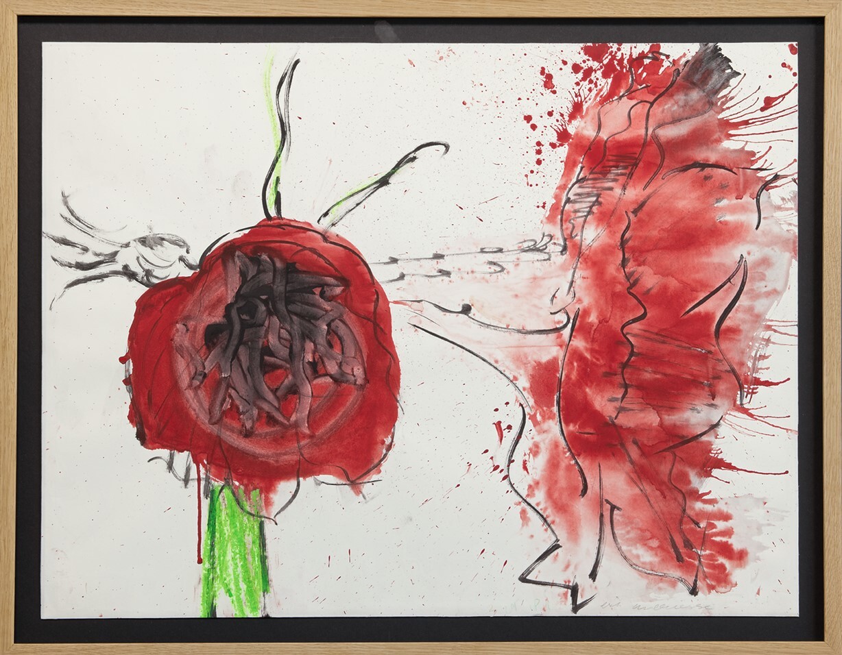 Erik Andriesse: Amaryllis (in lijst)