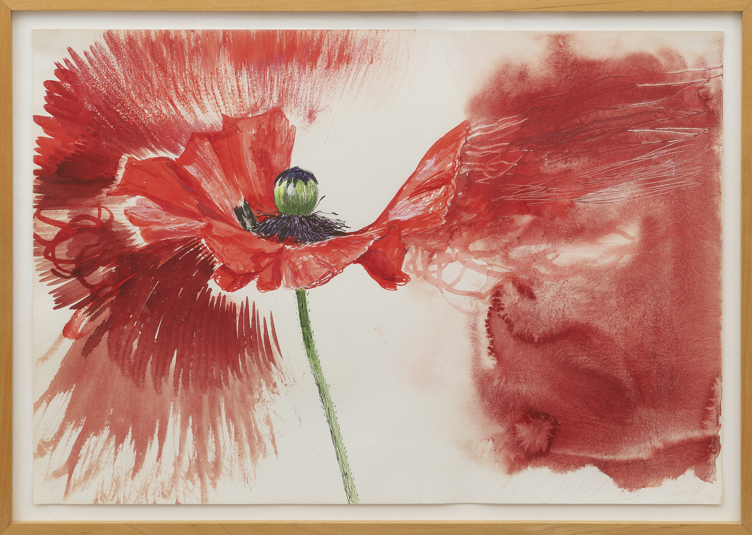 Erik Andriesse: Papaver (in lijst)