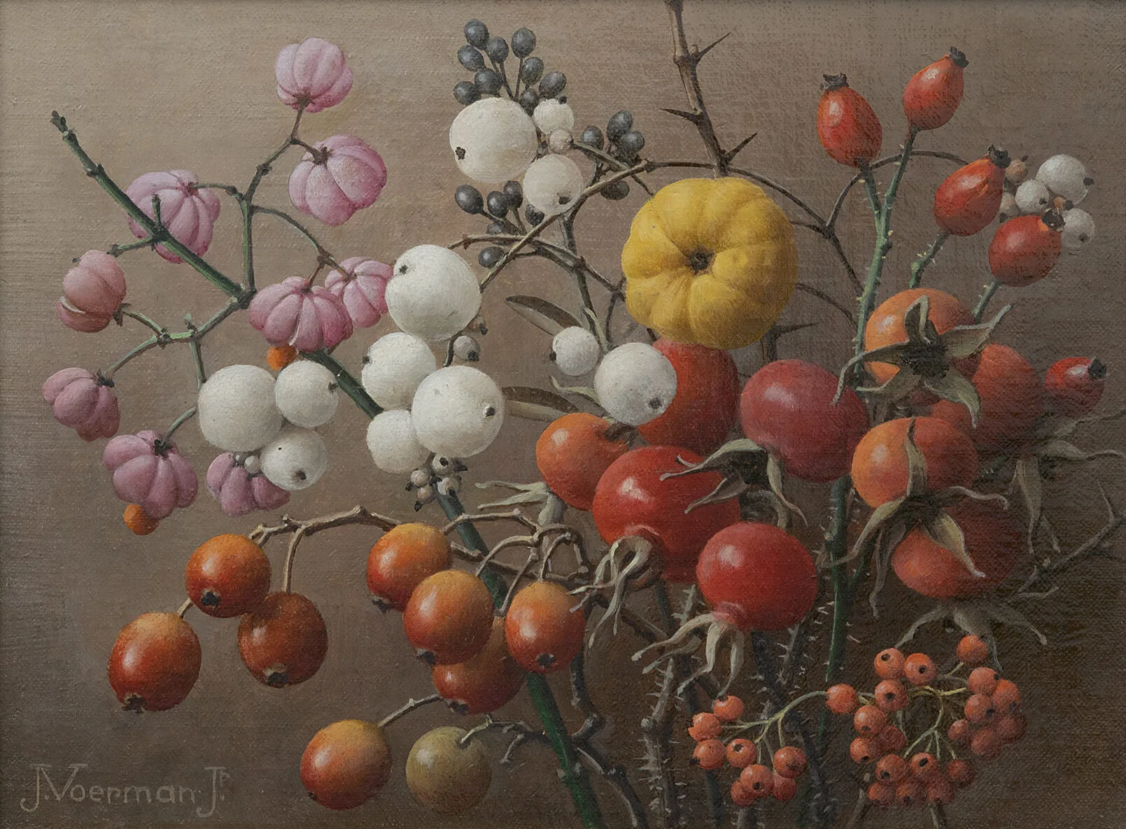 Jan Voerman jr.: Heestervruchten