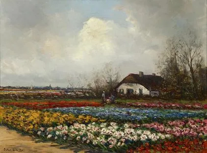 Anton Dirckx: Kleurrijke bollenvelden