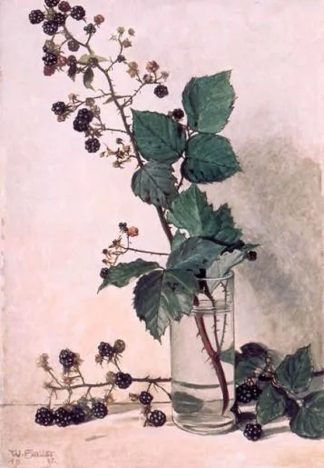 Haller 4527 0