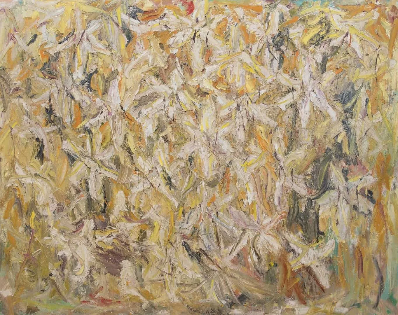 Marc Mulders: Witte lelies