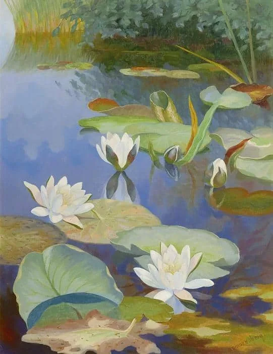 Dirk Smorenberg: Waterlelies