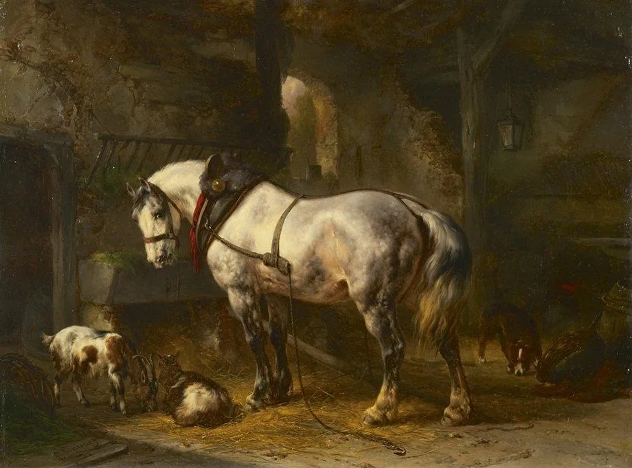 Wouterus Verschuur: Schimmel in een stal