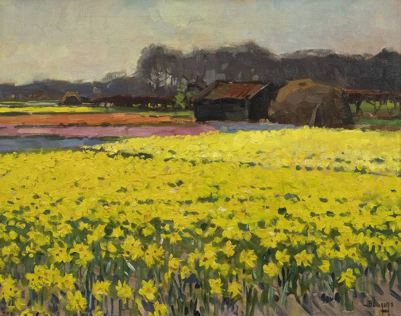 Ben Viegers: Narcissen in volle bloei