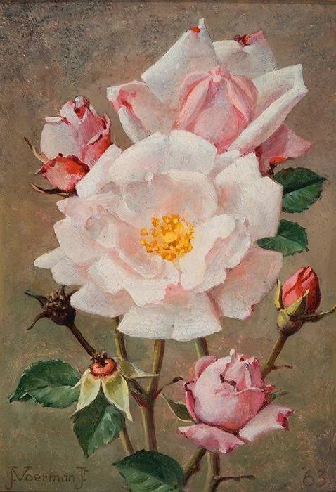 Jan Voerman jr.: Roze rozen