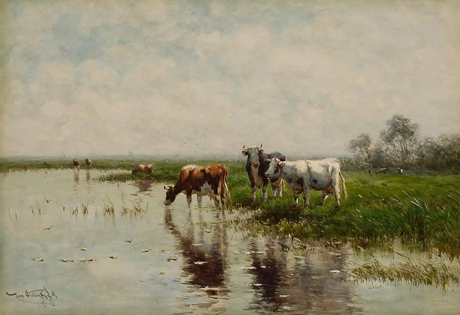 Koeien aan de oever van een rivier