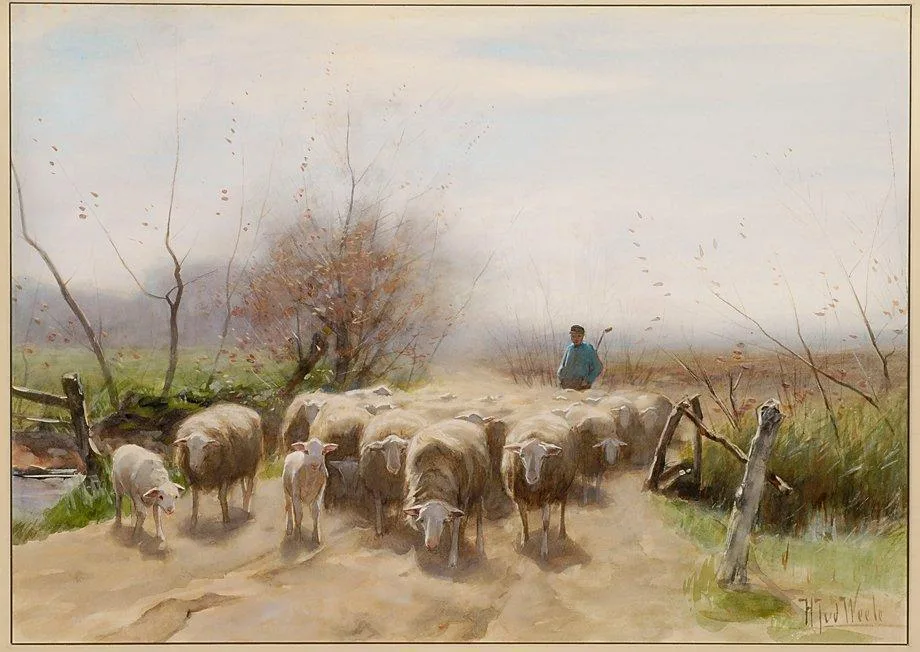 Herder met zijn schapen op een zandpad