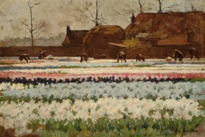 Anton Koster: Kleurrijke bollenvelden
