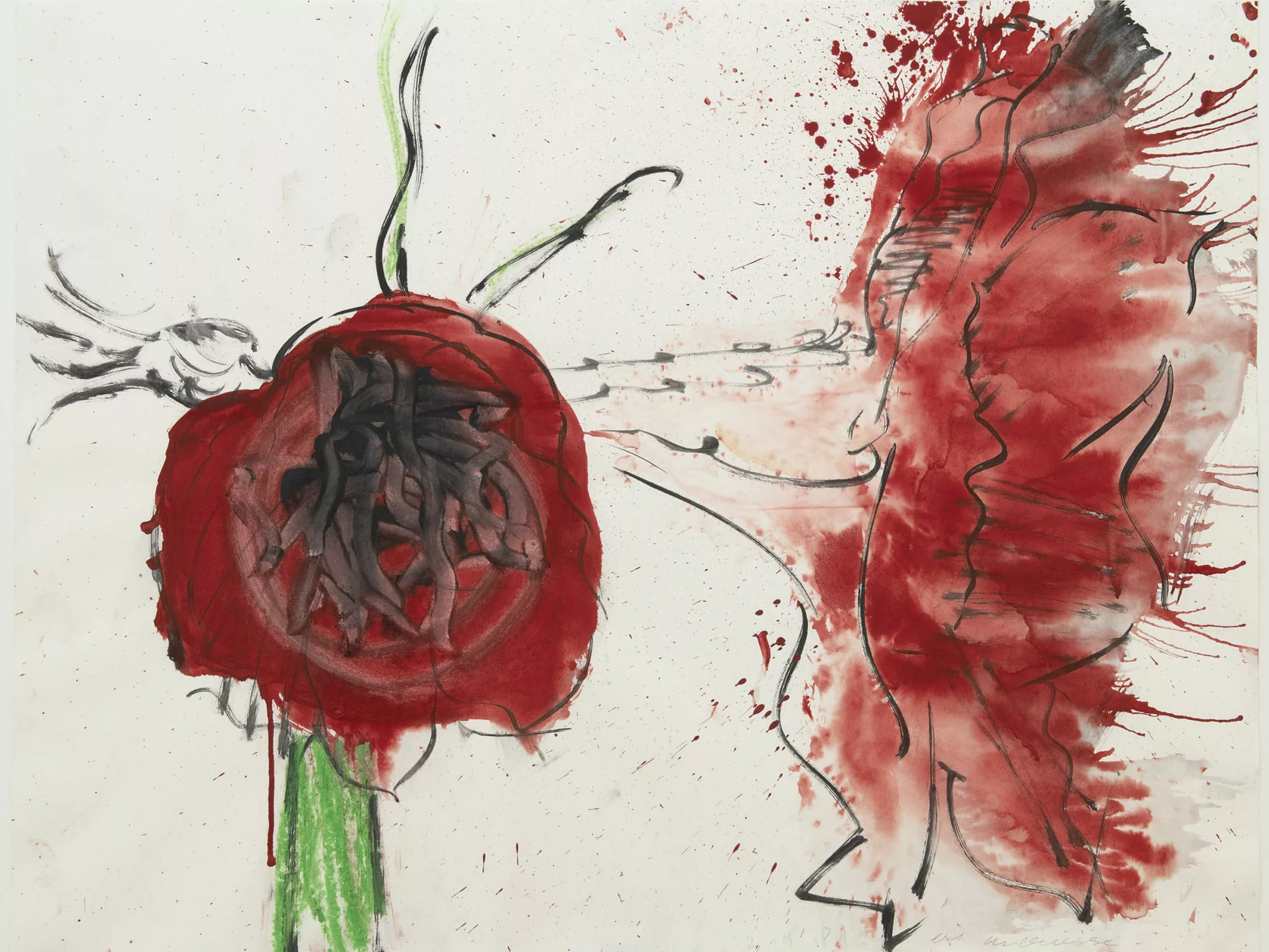 Erik Andriesse: Amaryllis