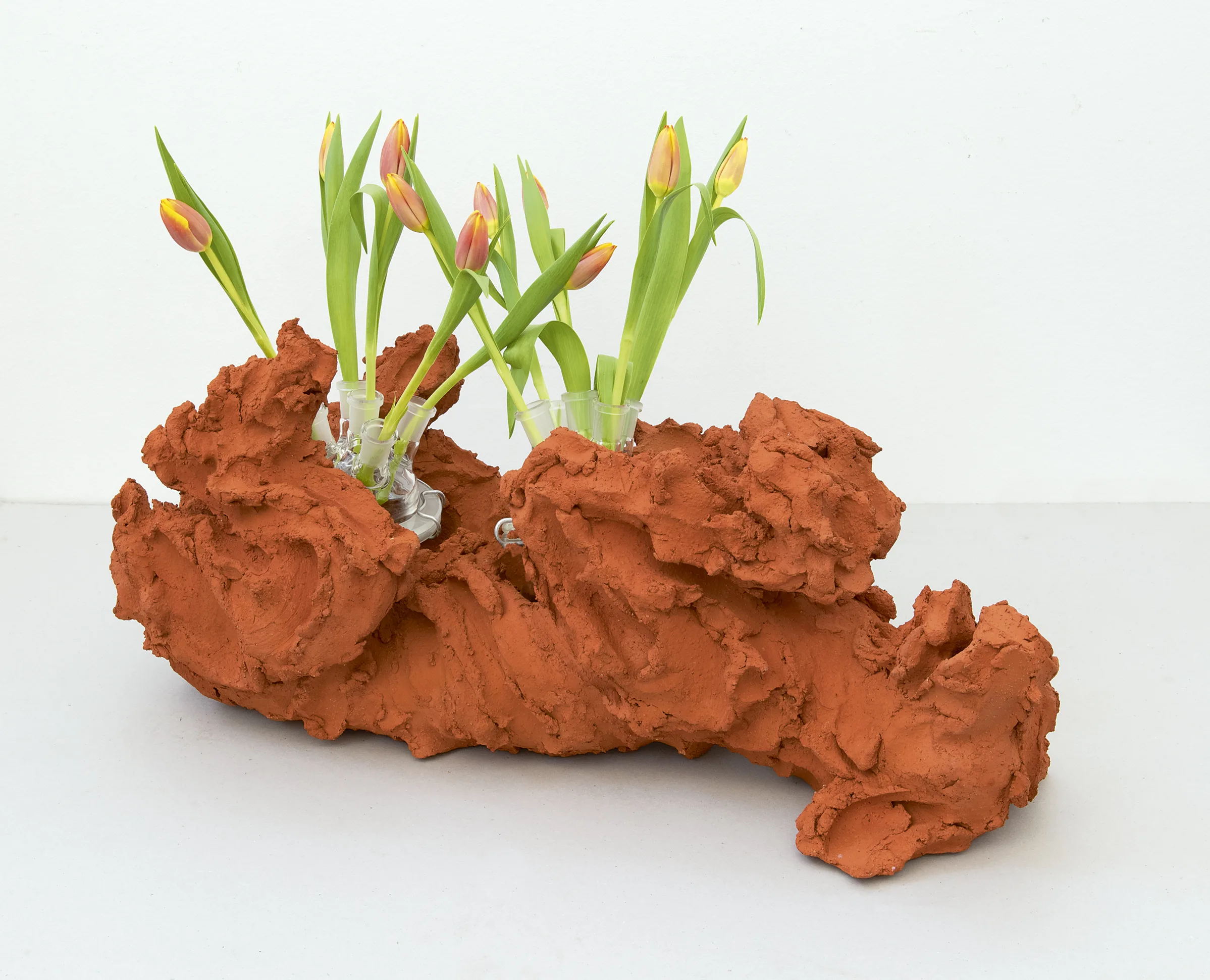 Guido Geelen: Hazewind hond