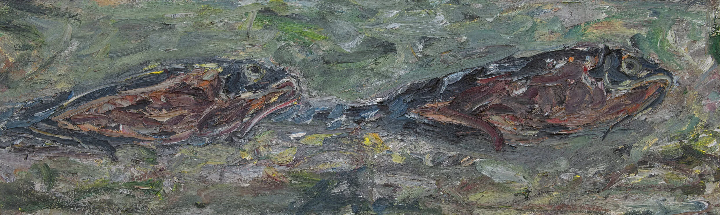 Marc Mulders: Twee vissen