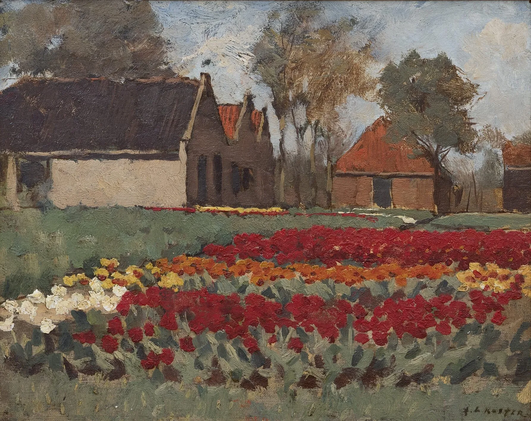 Anton Koster: Tulpenvelden