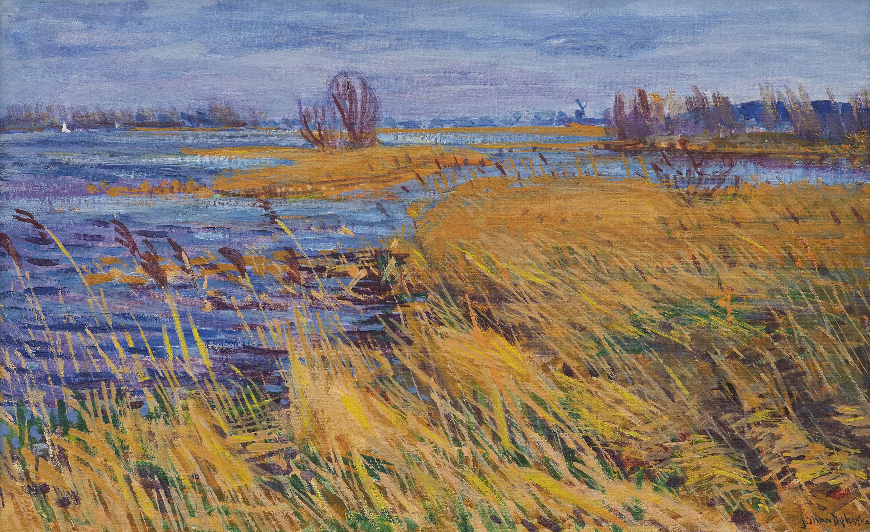 Johan Dijkstra - Paterswoldsmeer