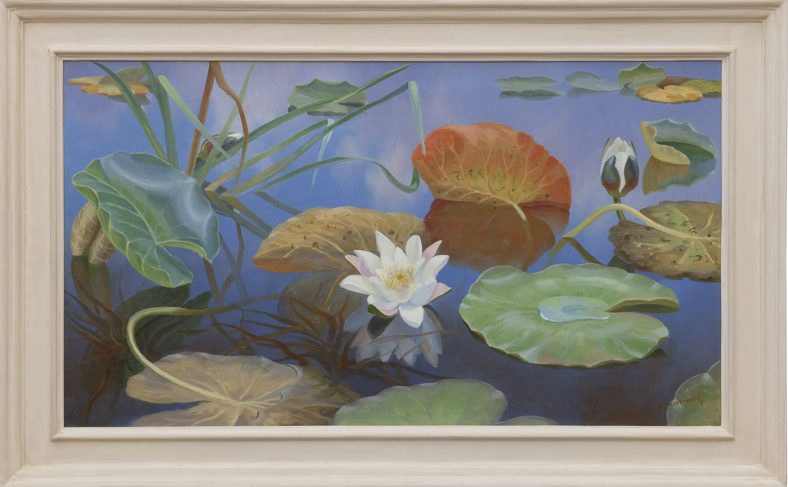 Dirk Smorenberg: Waterlelies in de Loosdrechtse Plassen