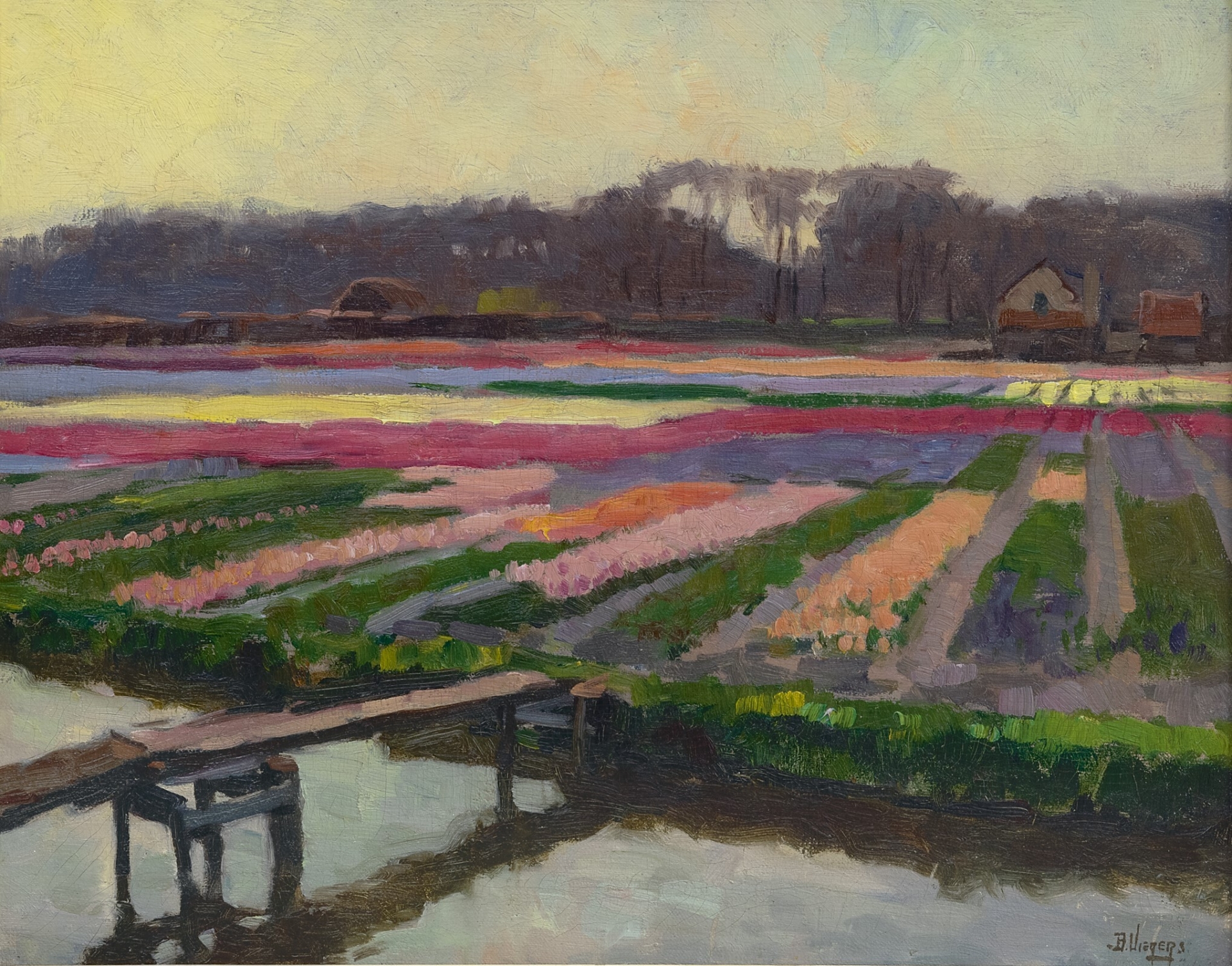 Ben Viegers: Bloeiende bollenvelden
