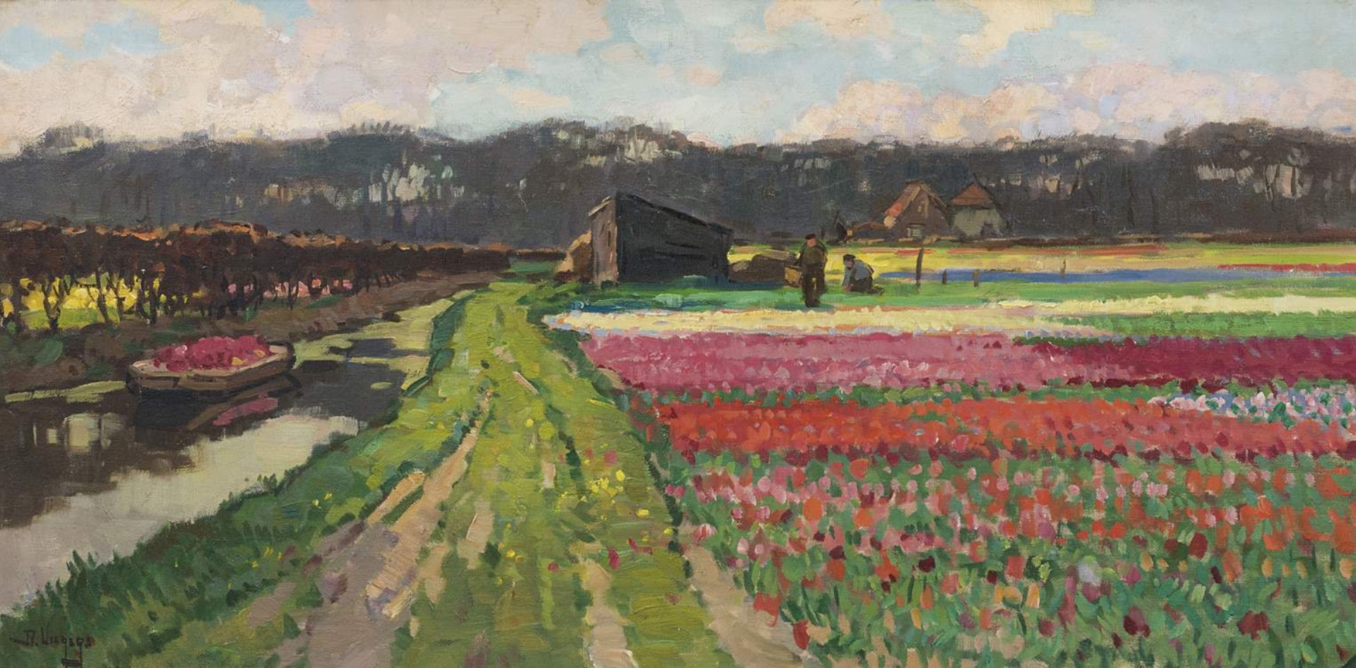 Ben Viegers: Hollandse bollenvelden