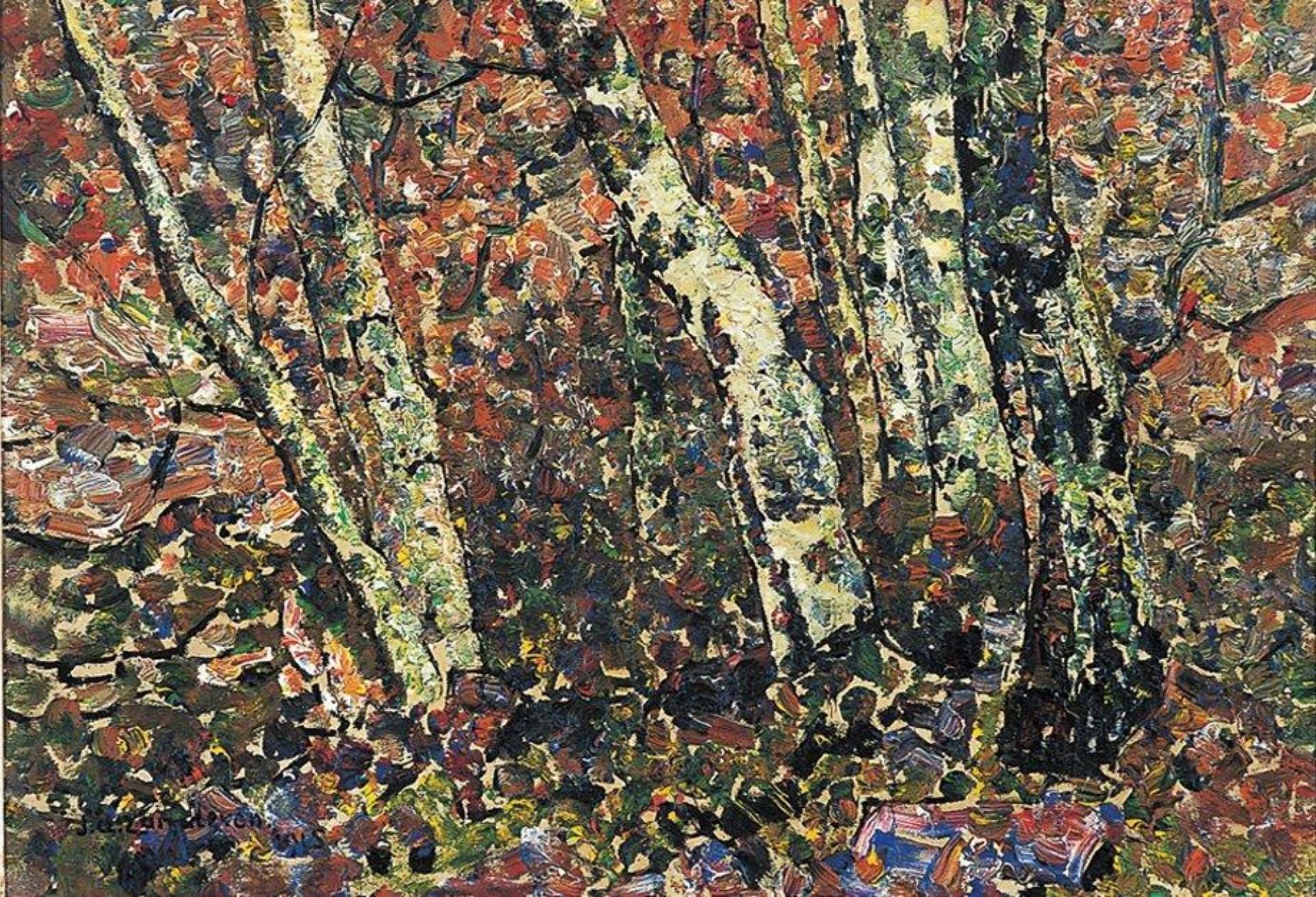 Jan Adam Zandleven: Berkenbos