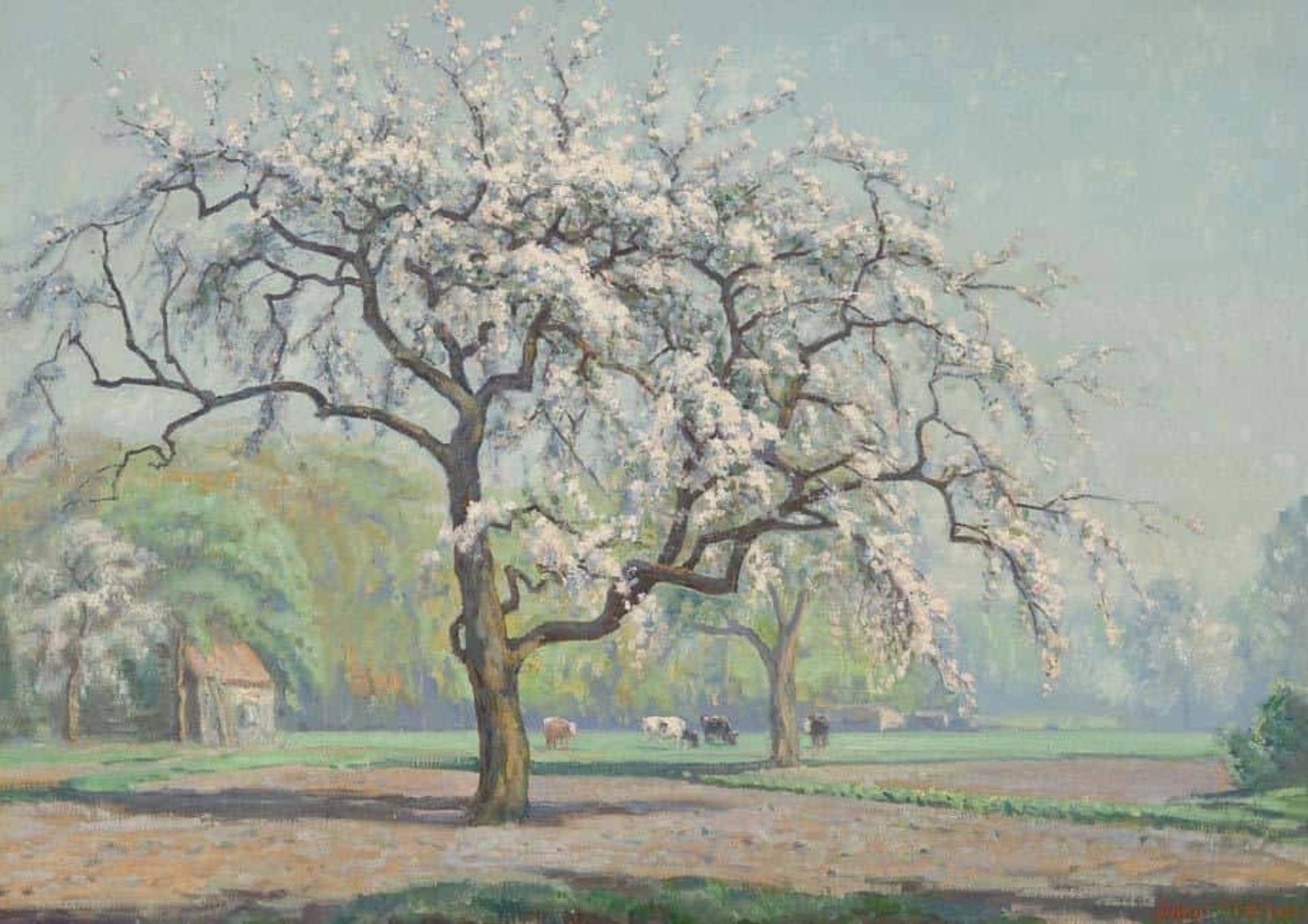 Jakob ‘Jaap’ Nieweg: Bloesemboom in bloei