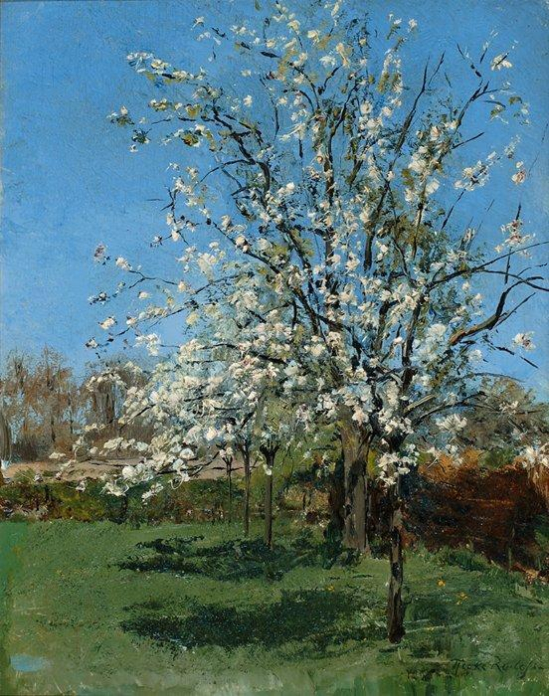 Tjieke Roelofs: Bloesembomen