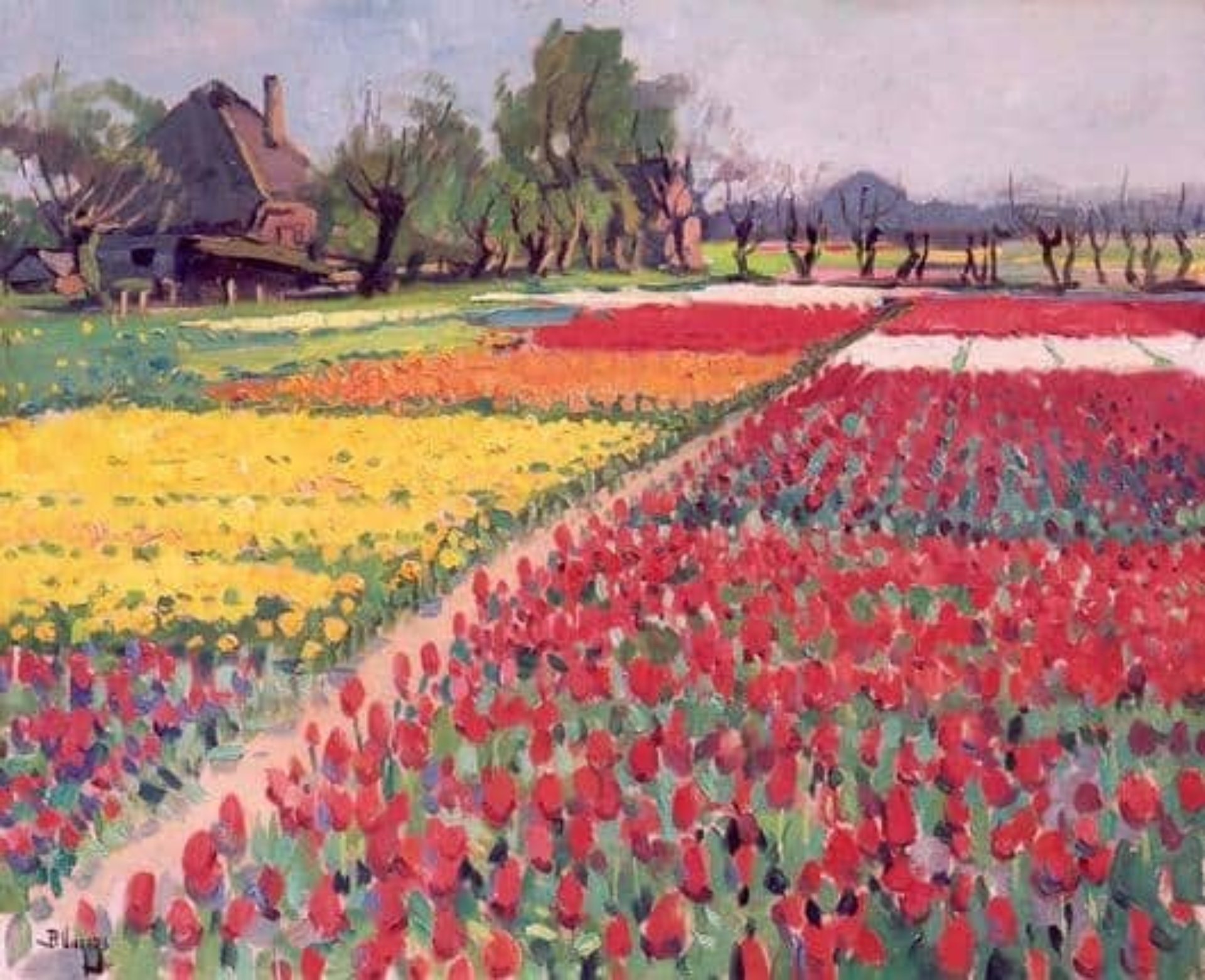 Ben Viegers: Bulb fields in full bloom