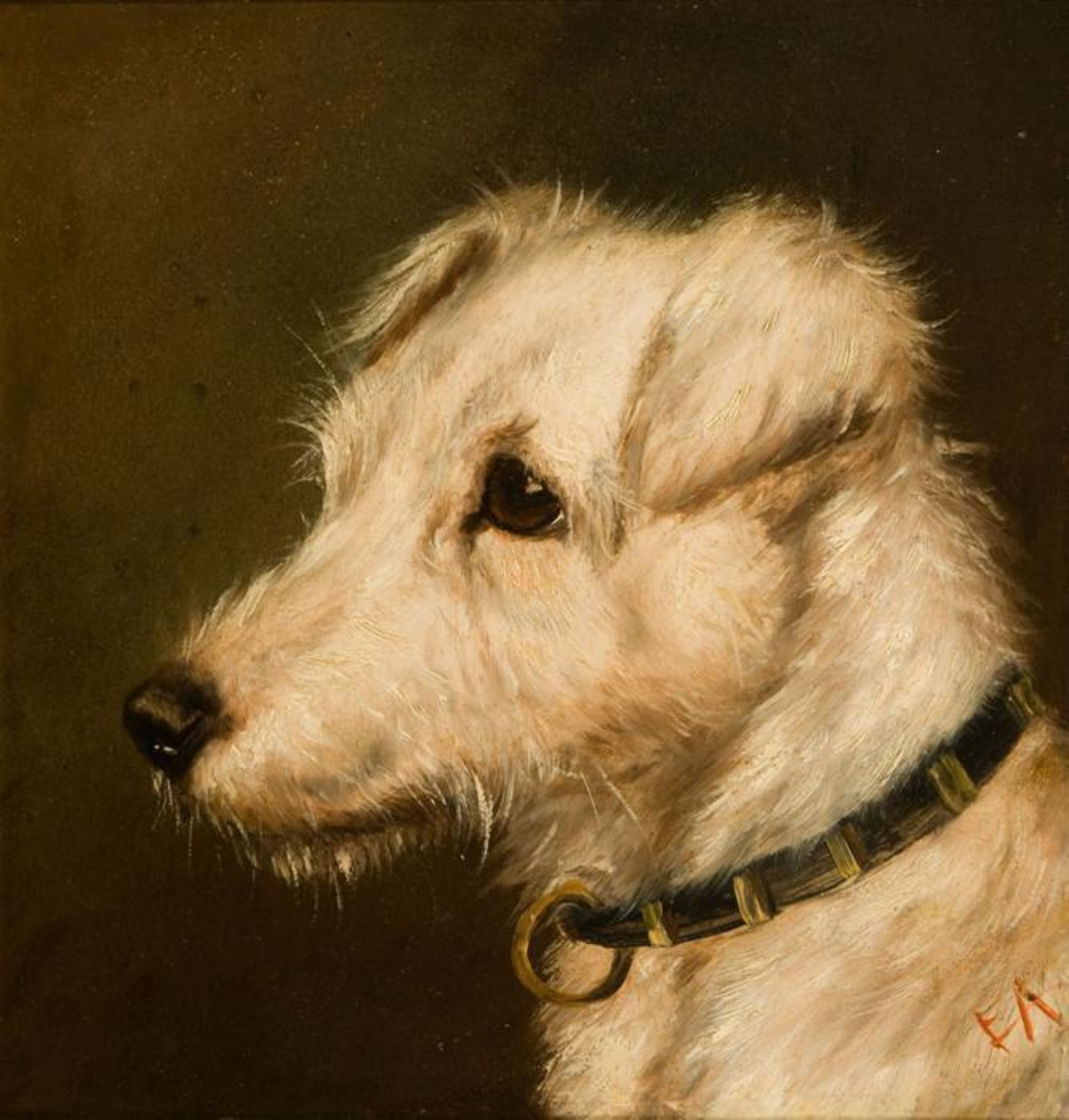 Edward Aistrop: Witte foxterriër