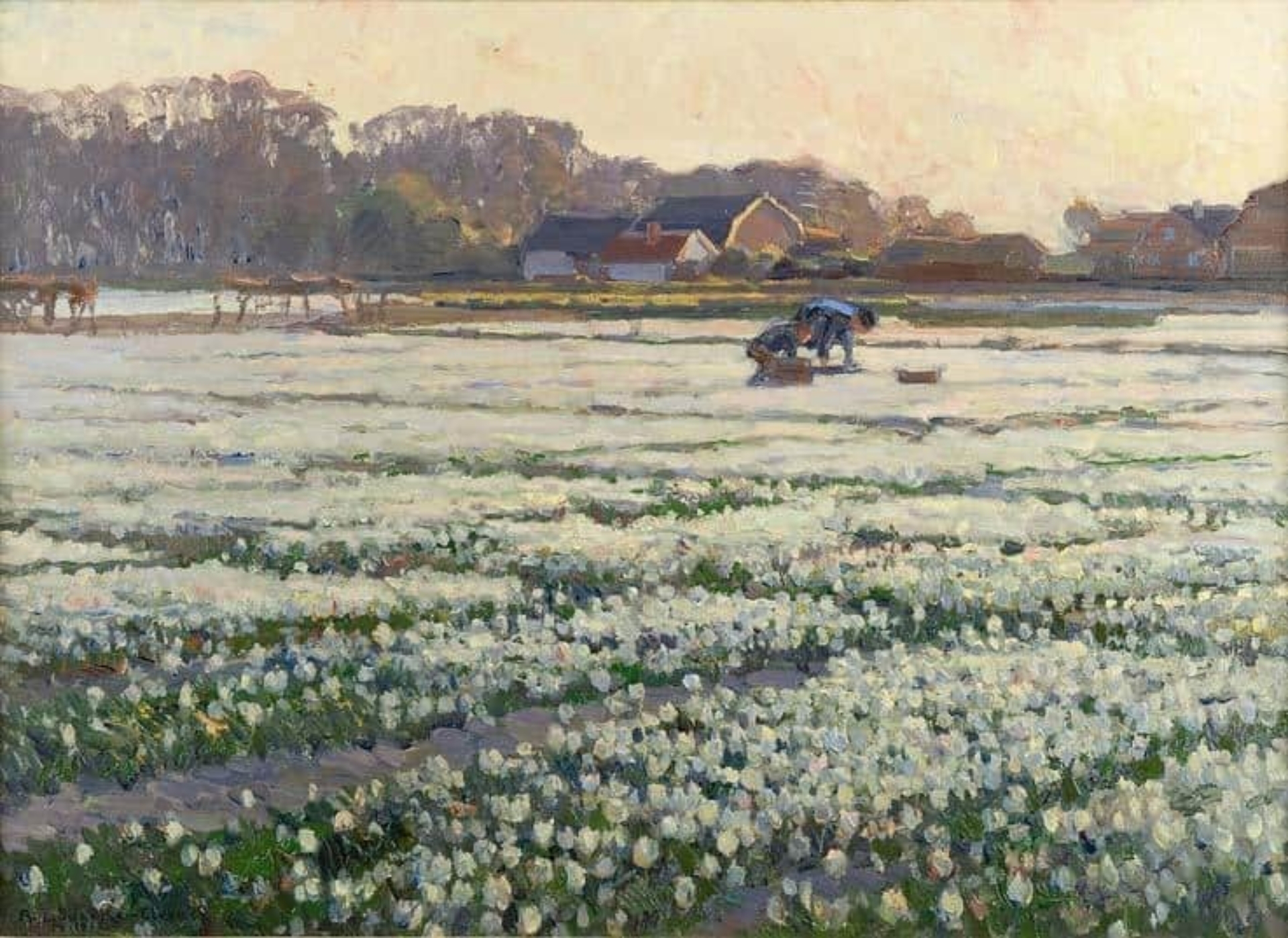 August Lüdecke-Cleve: In volle bloei