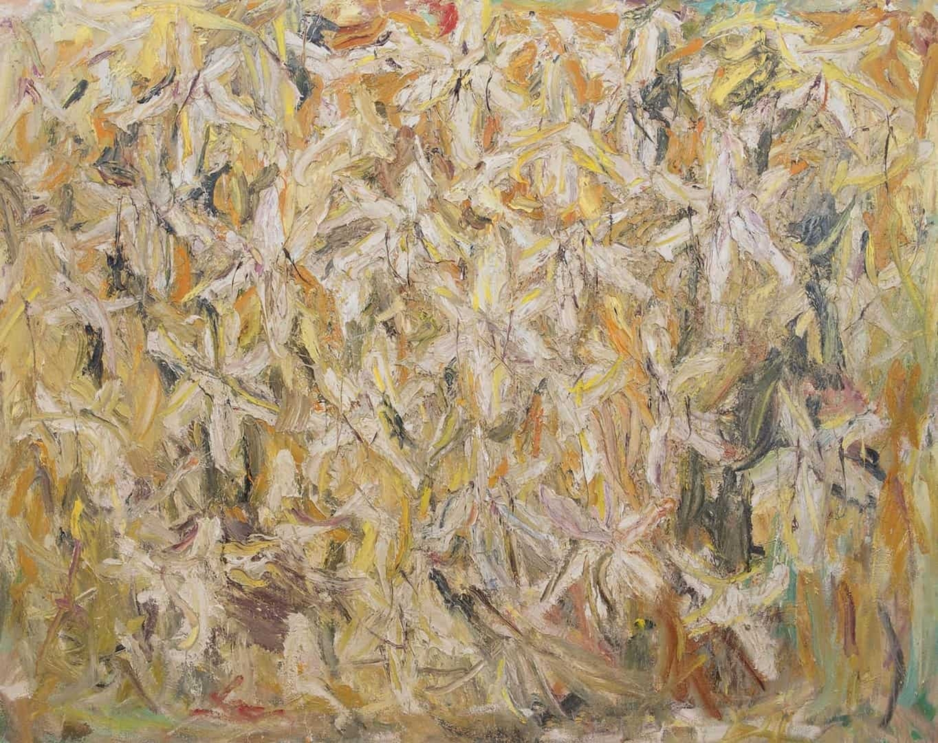 Marc Mulders: Witte lelies