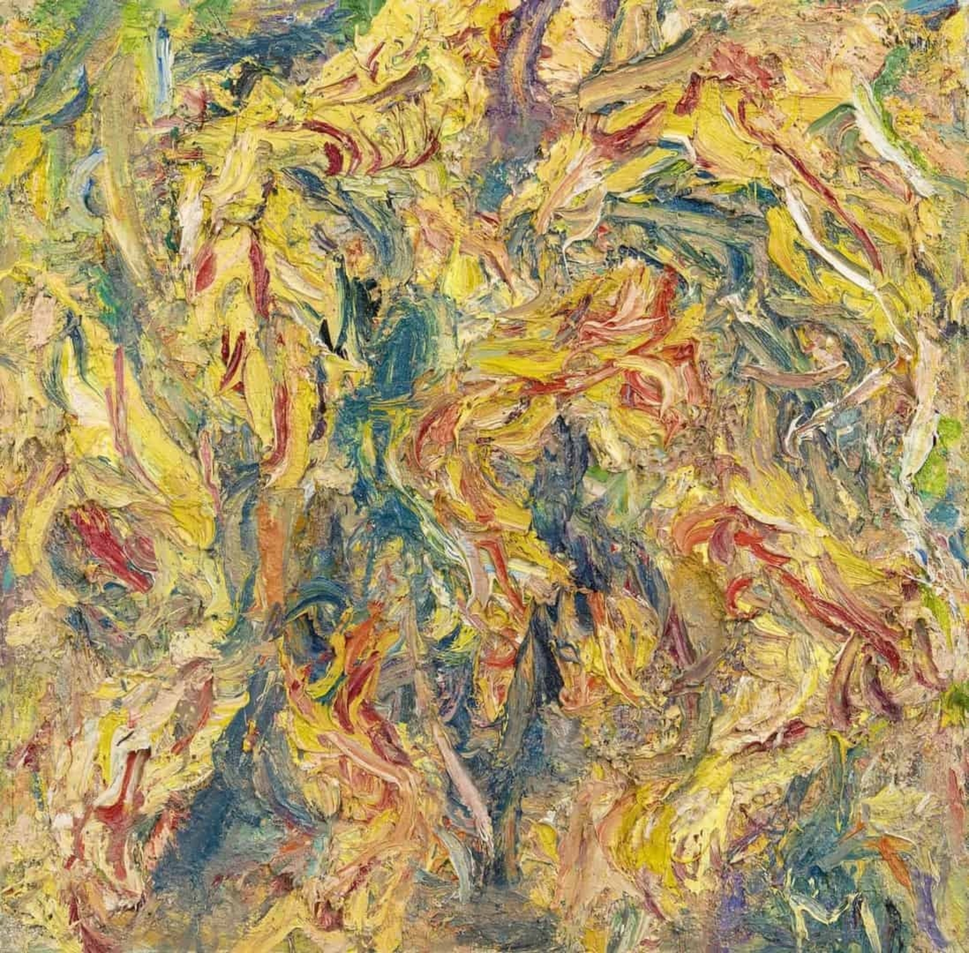 Marc Mulders: Papegaaitulpen Lente IV
