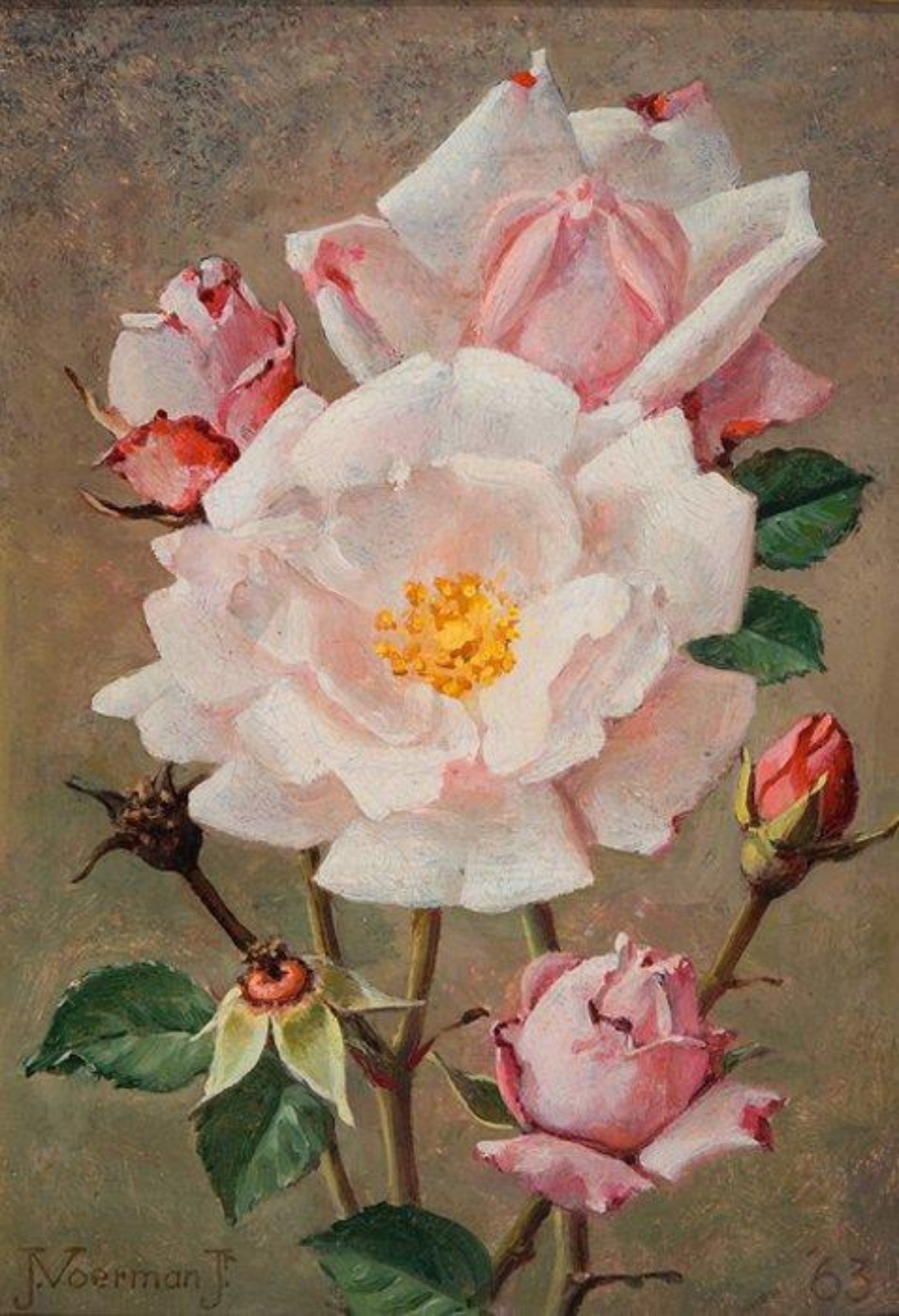 Jan Voerman jr.: Roze rozen
