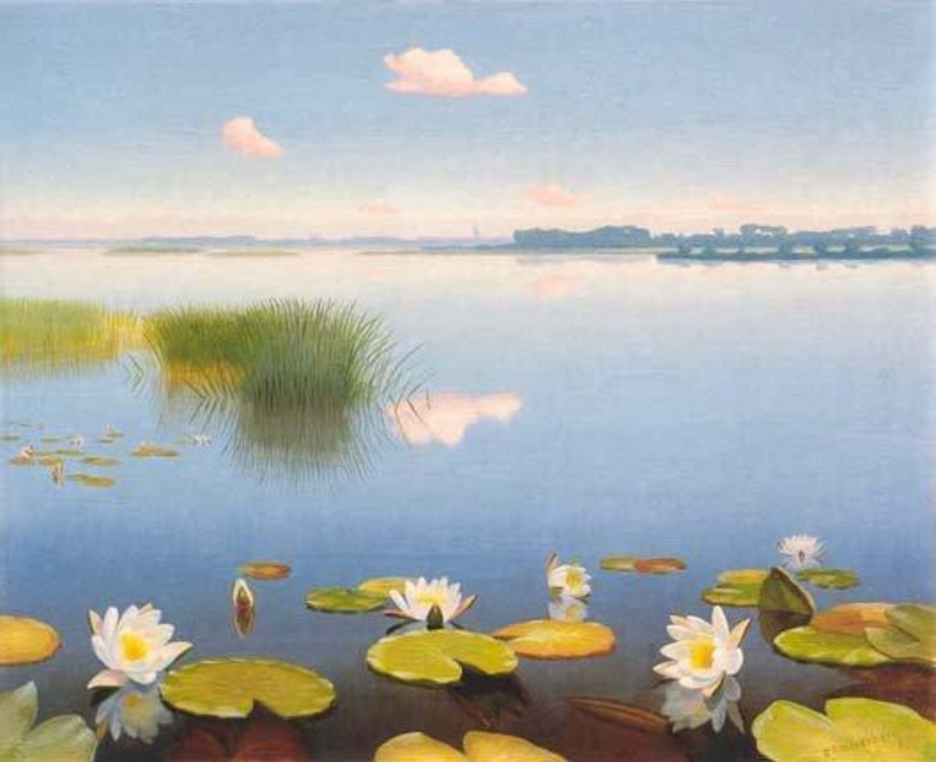 Dirk Smorenberg: Waterlelies in de Loosdrechtse Plassen