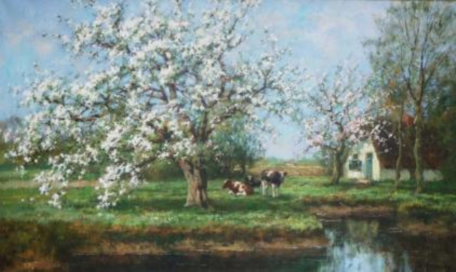 Cor Bouter: Koeien in een bloeiend landschap
