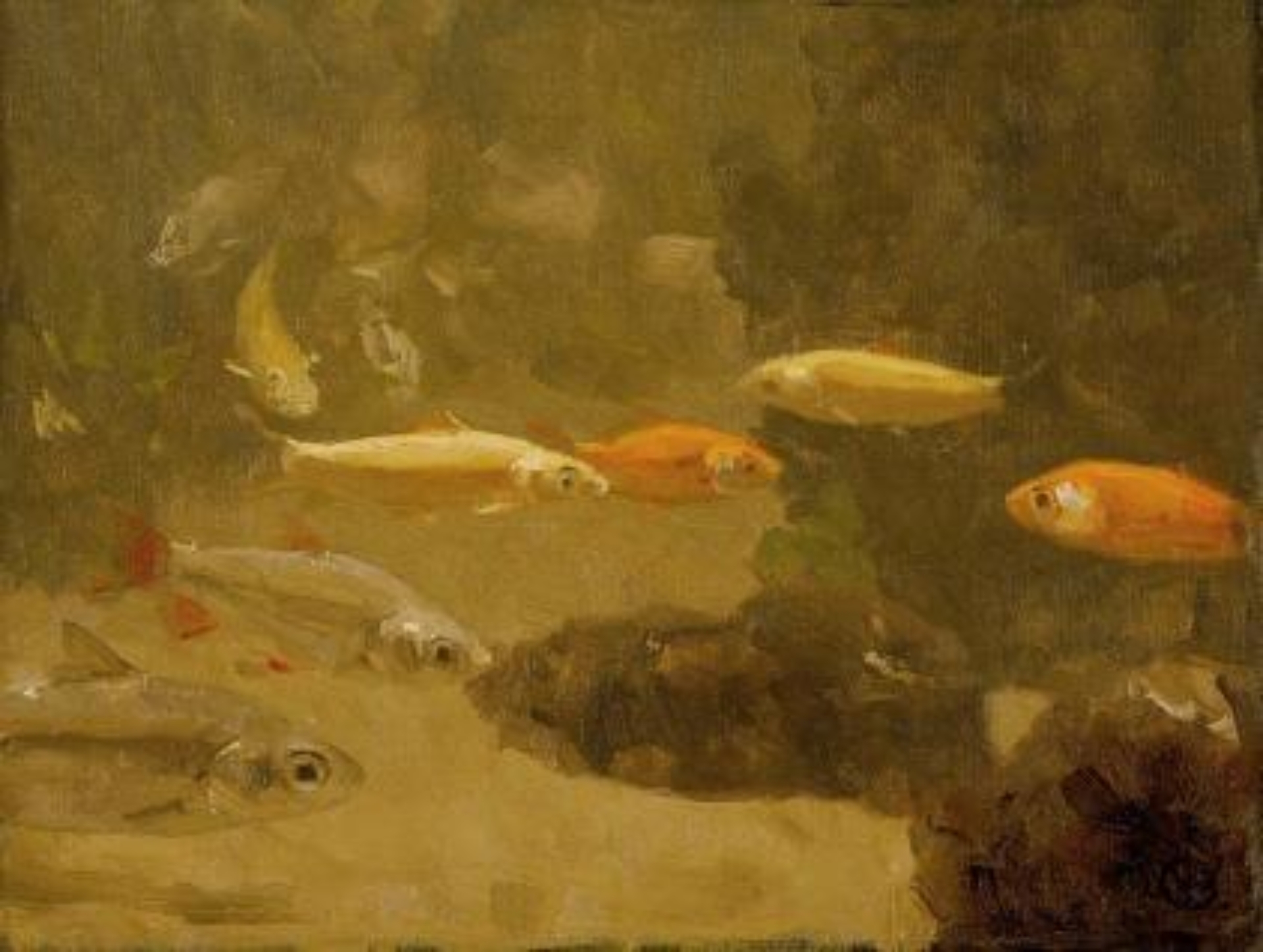 Gerrit Willem Dijsselhof: Goudvissen