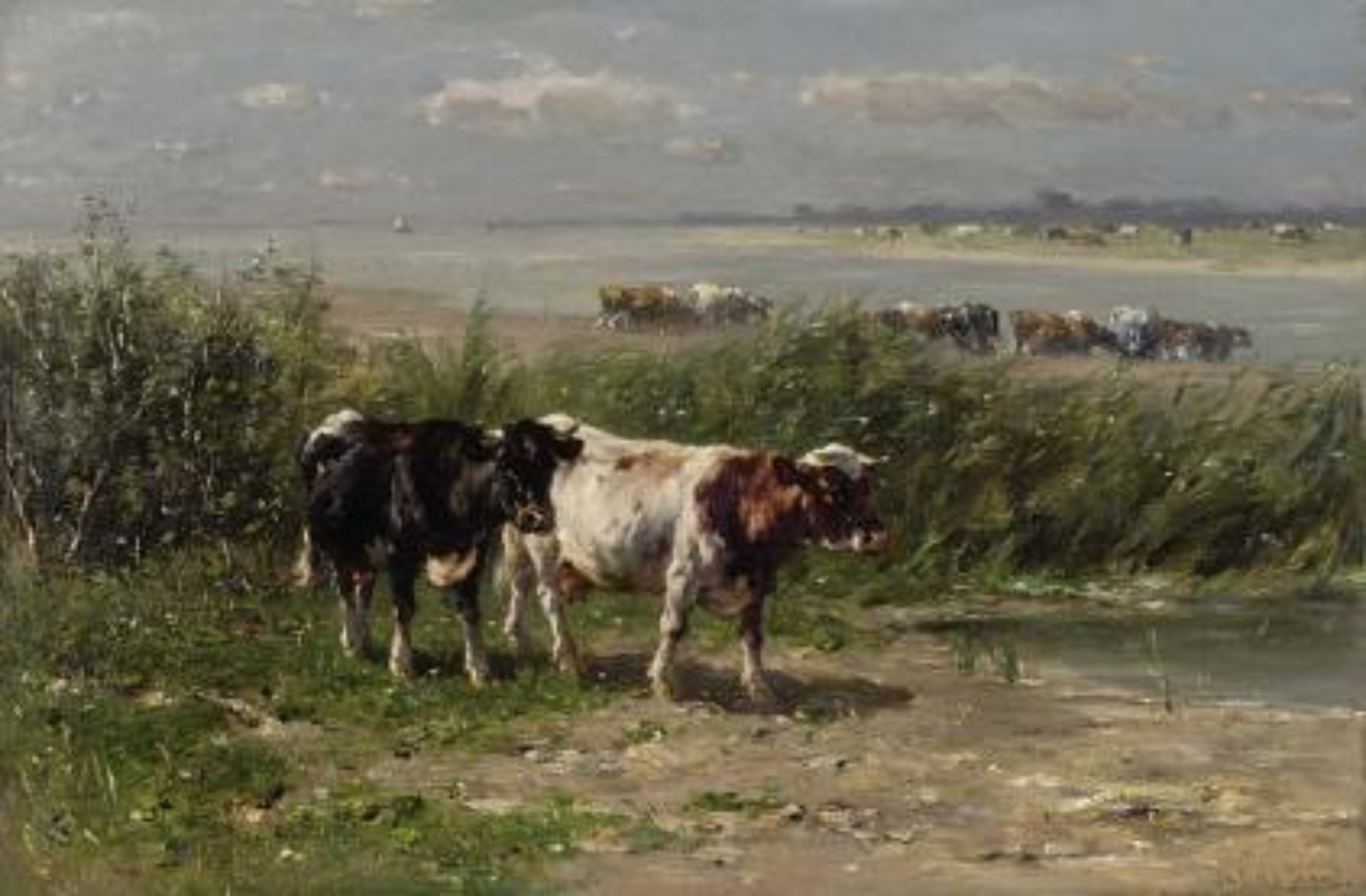 Johannes de Haas: Koeien aan de oever