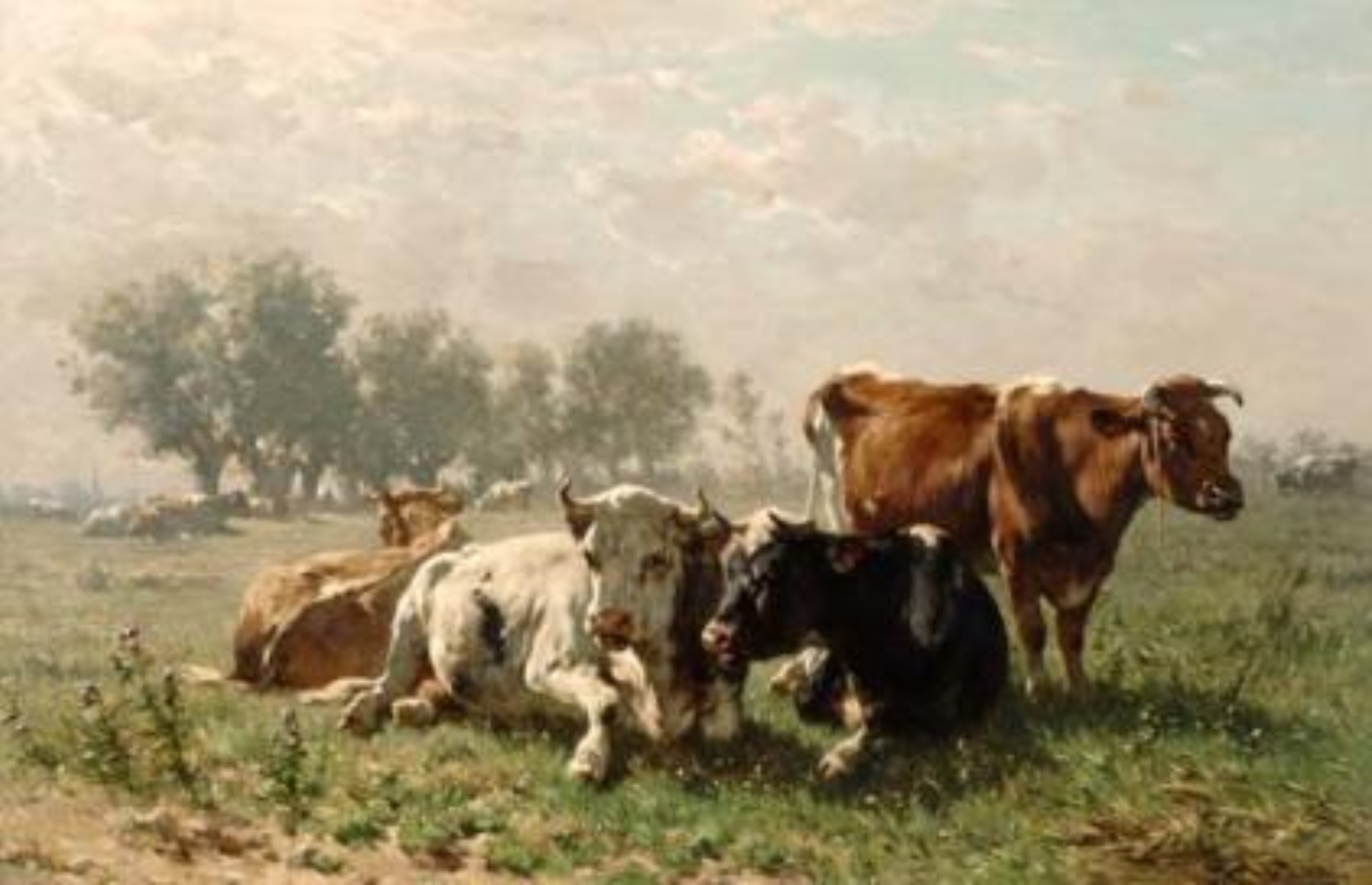 Johannes de Haas: Koeien in een zonovergoten landschap