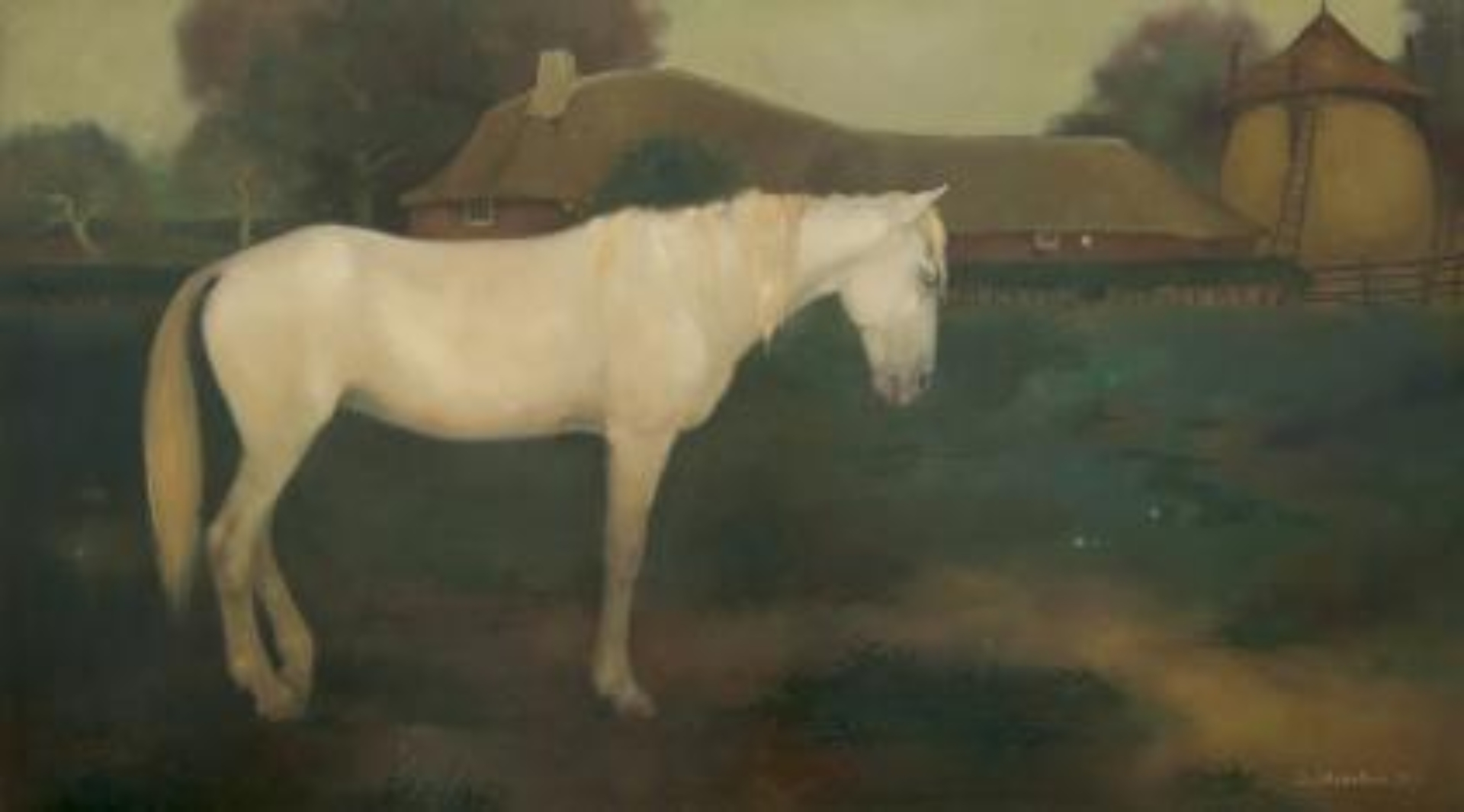 Jemmy van Hoboken: Wit paard