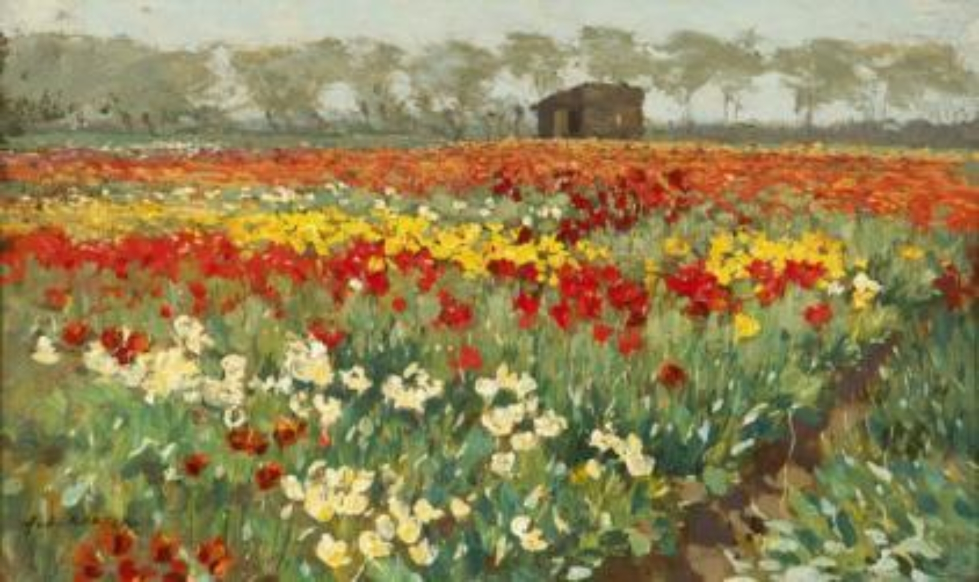 Anton Koster: Anton Koster - Tulpenvelden in bloei