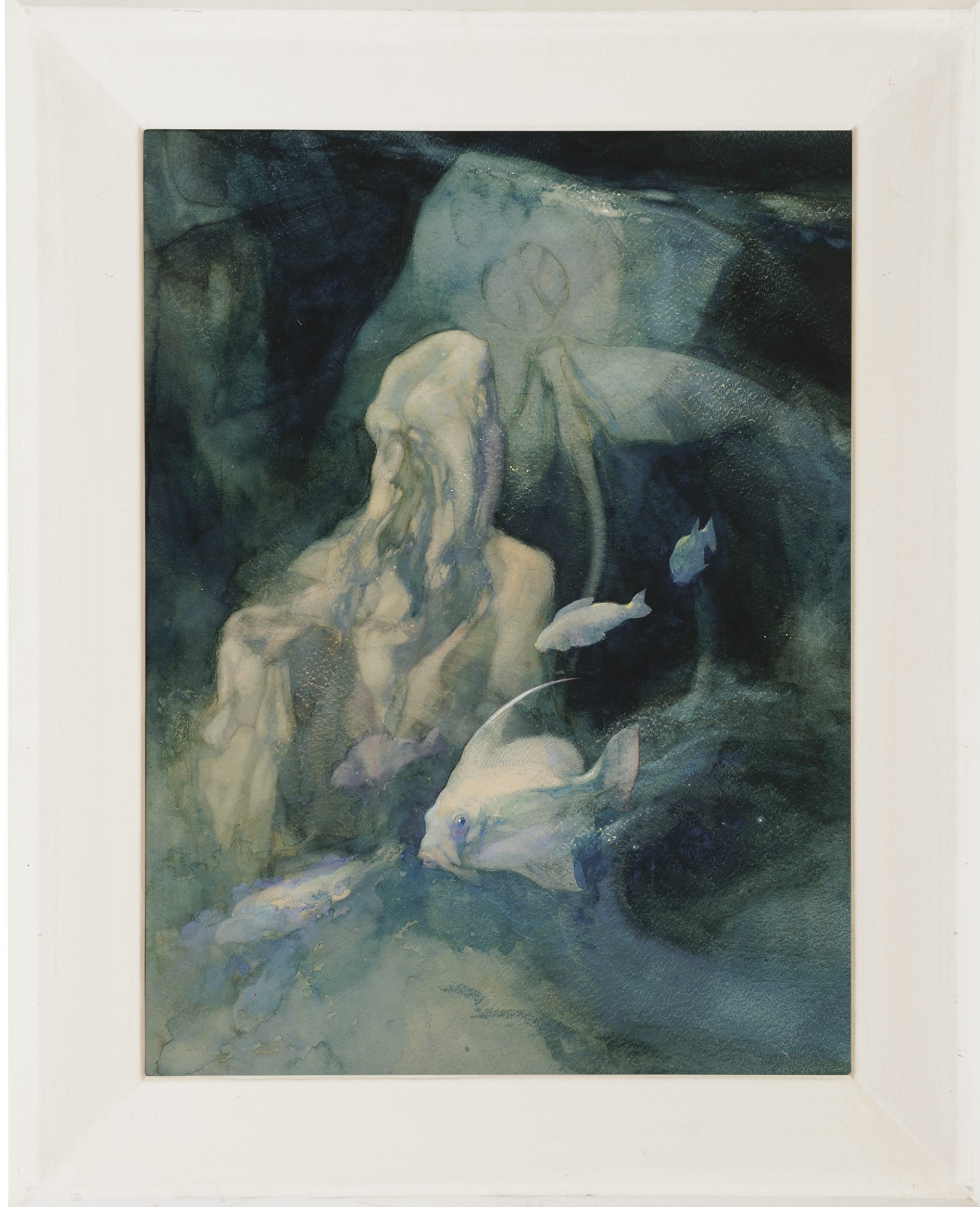 Adriaan van ’t Hoff: Vissen (in lijst)