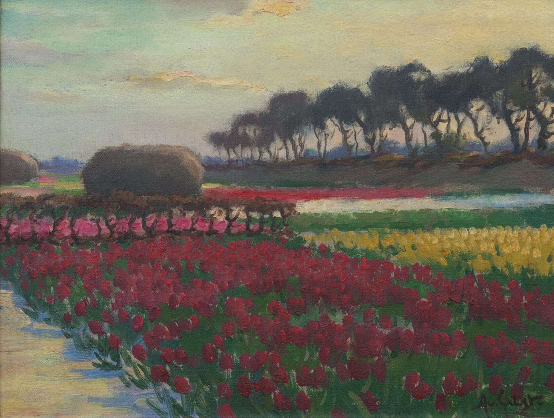 Arnout van Gilst: Bloemenveld