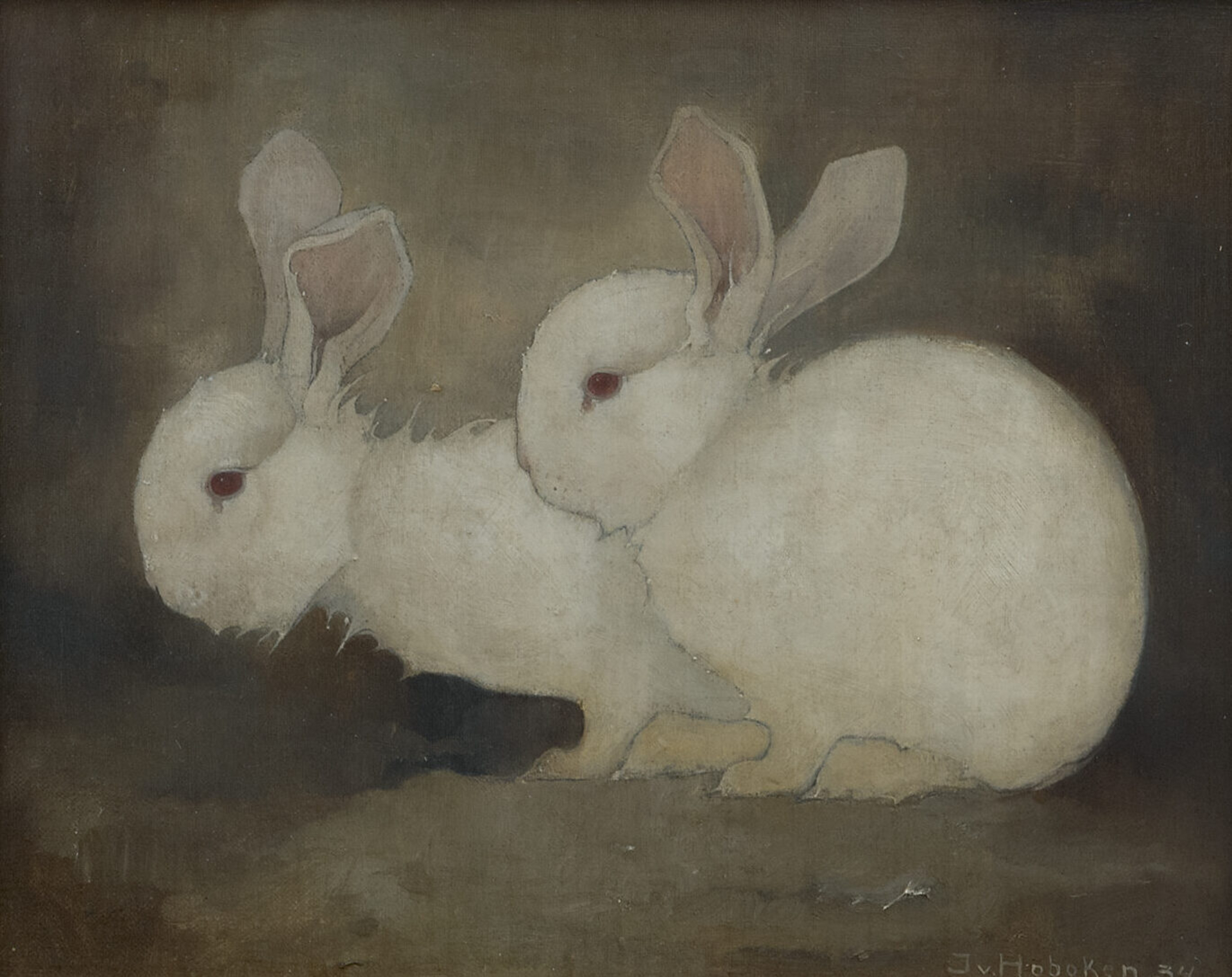 Jemmy van Hoboken: Twee witte konijntjes