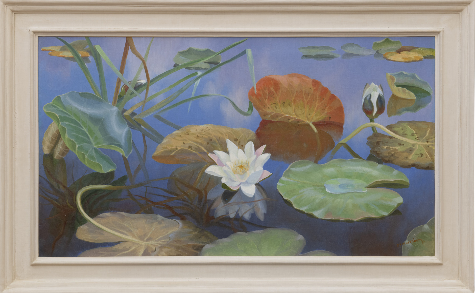 Dirk Smorenberg: Waterlelies in de Loosdrechtse Plassen