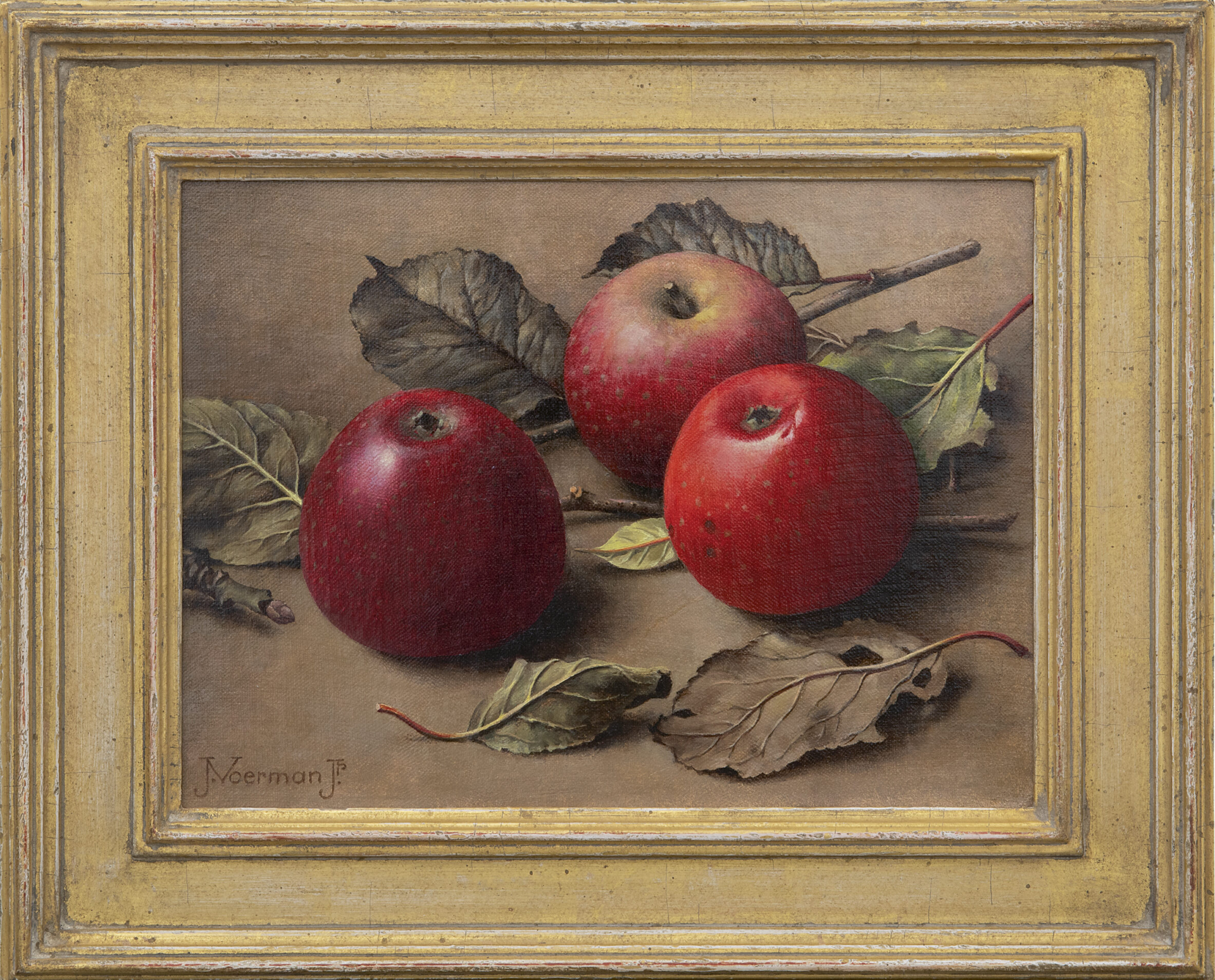 Jan Voerman jr.: Sterappels (in lijst)