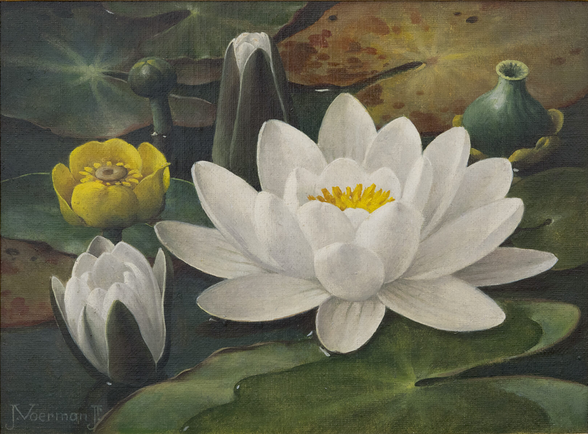 Jan Voerman jr.: Waterlelie