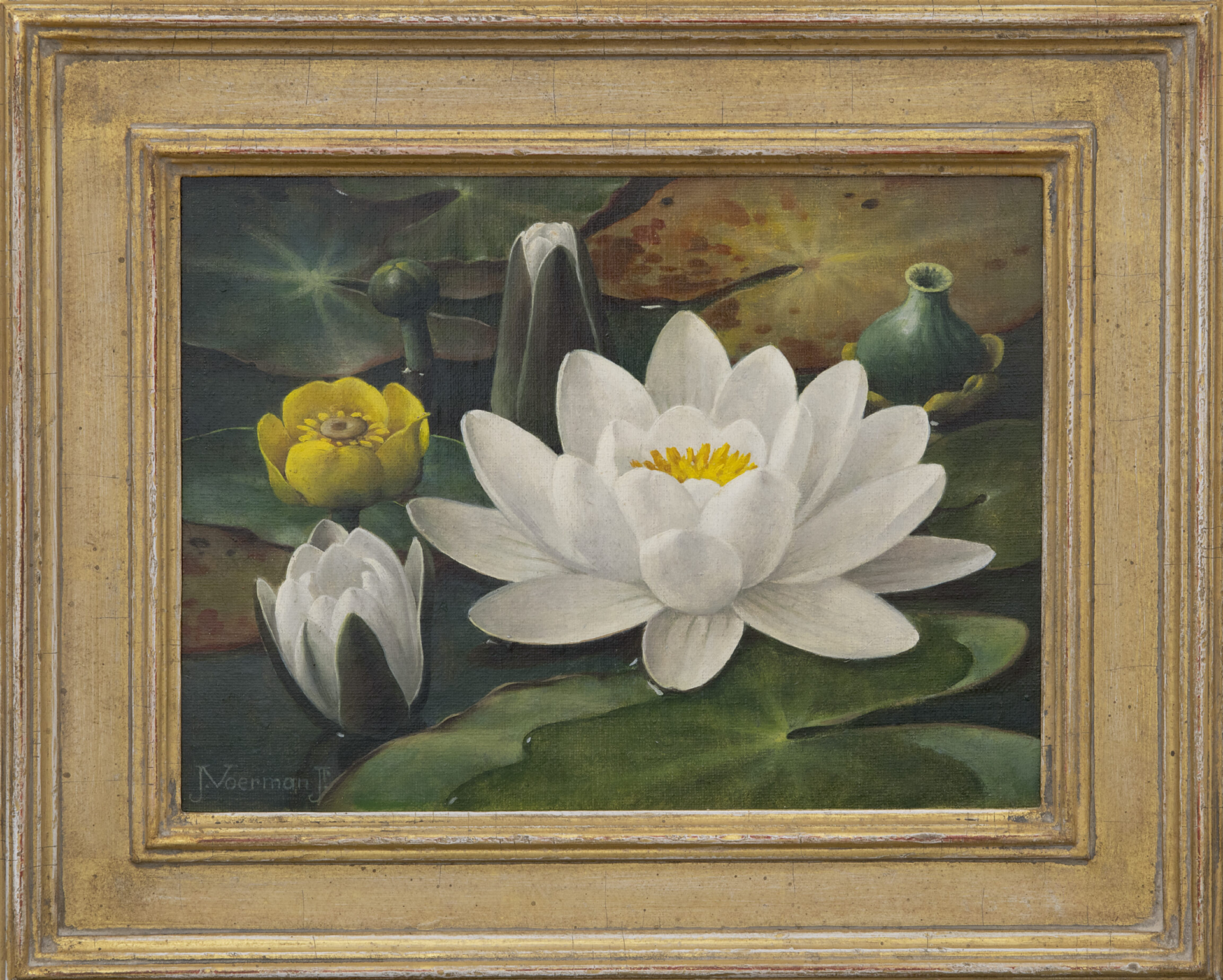 Jan Voerman jr.: Waterlelie (in lijst)