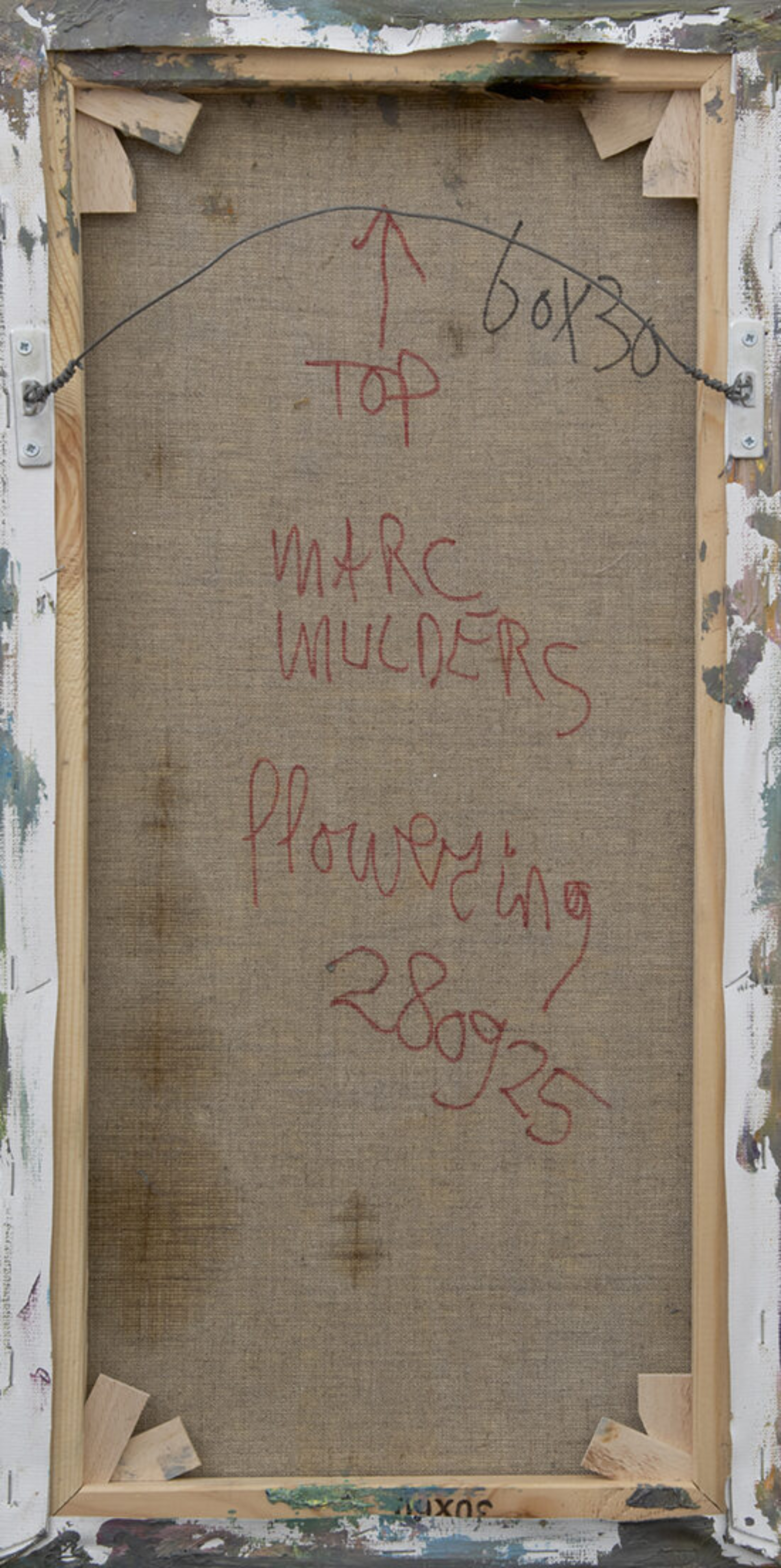 Ms6476 Mulders ak