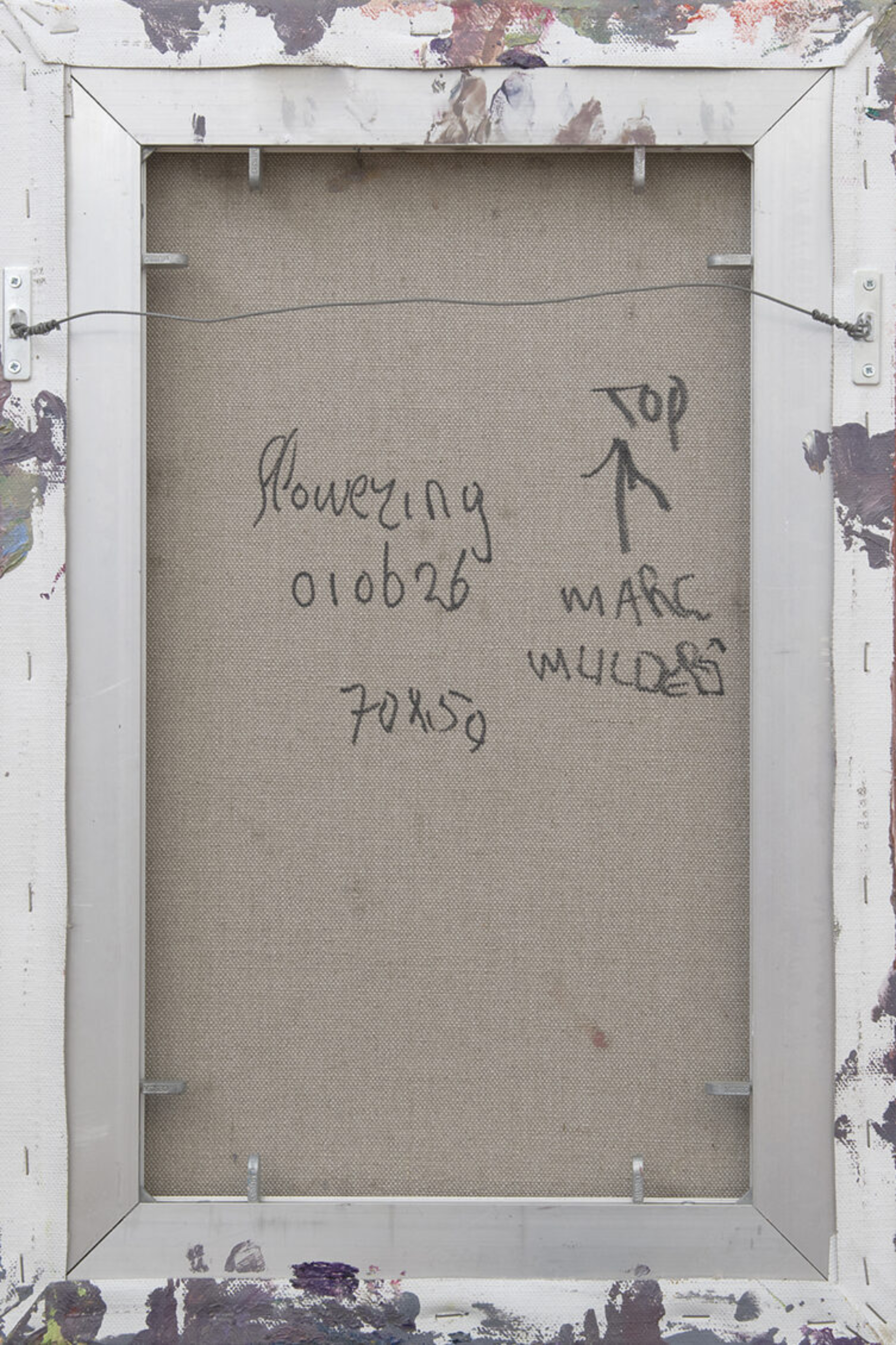 Ms6477 Mulders ak
