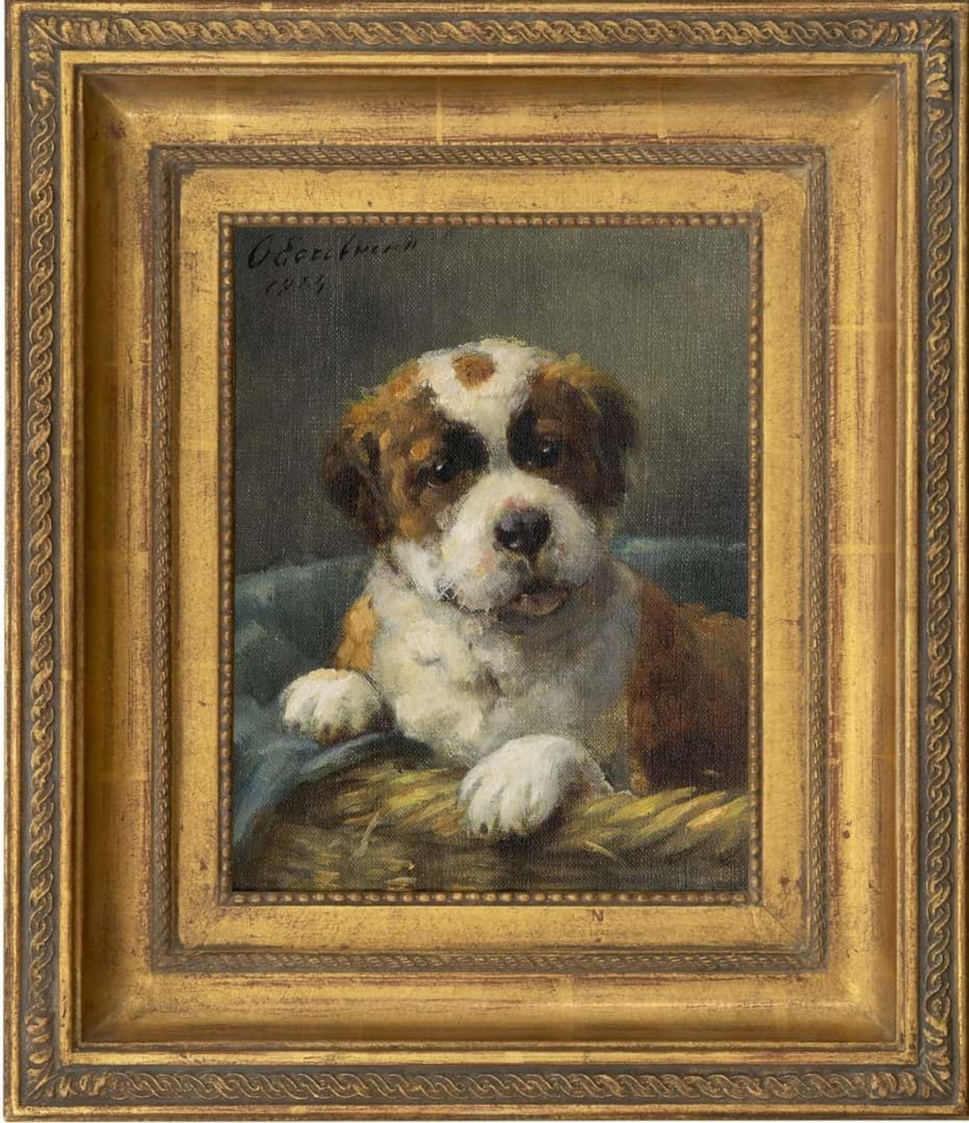 Otto Eerelman: Sint Bernard pup (in lijst)