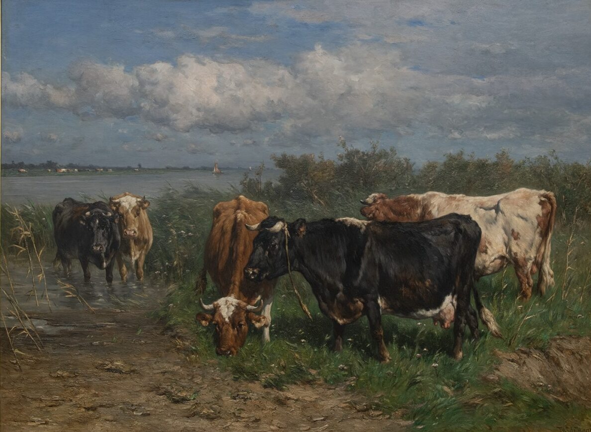 Johannes de Haas: Koeien in de uiterwaarden van de IJssel