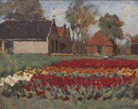 Anton Koster: Tulpenvelden