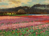 Ben Viegers: Bloeiende tulpenvelden